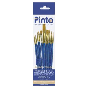 Set Pinceles Pinto PTJ